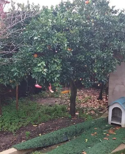 Casinha De Chocolate Outeiro (Lisbon)